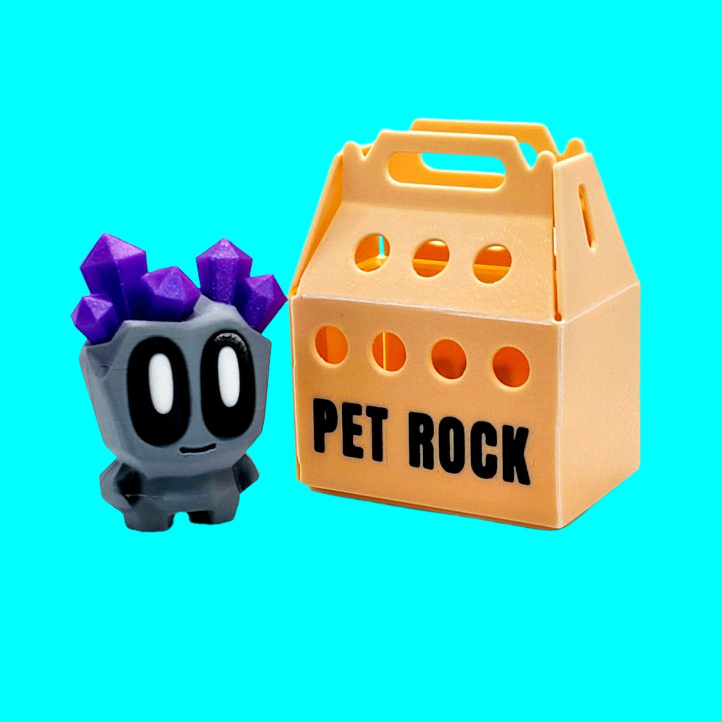 Fidget Pet Rock