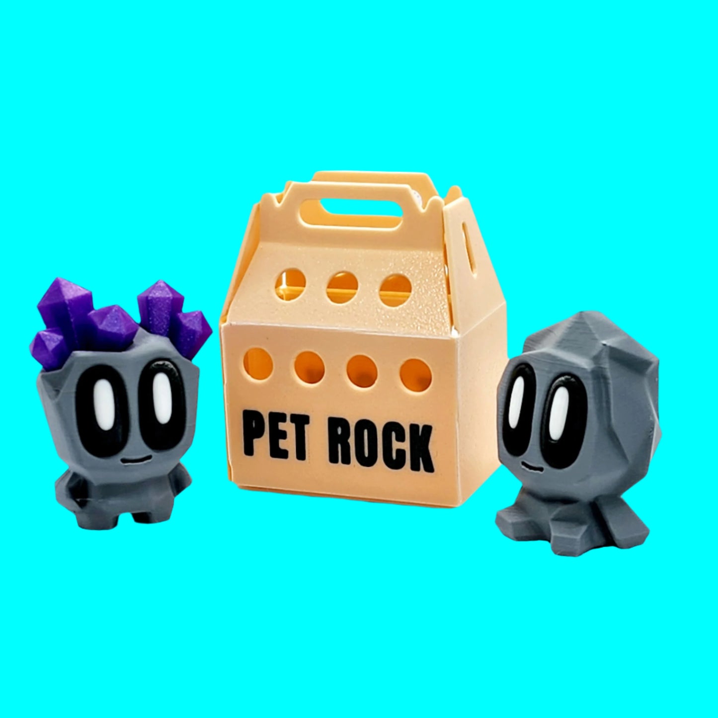 Fidget Pet Rock