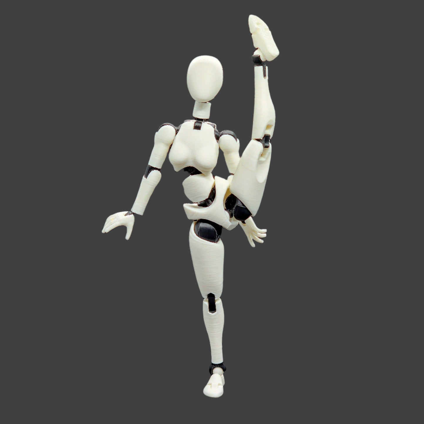 PAM (Poseable Artist's Model)